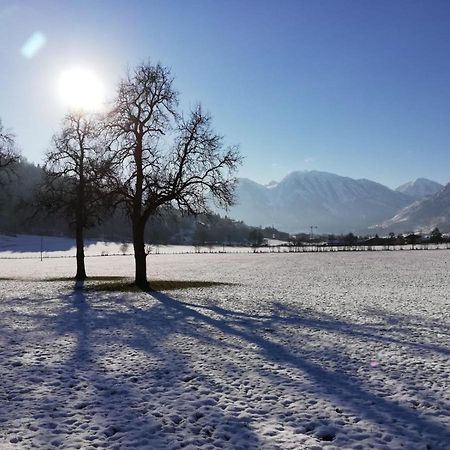 Villa Urlaub am BIO- Bauernhof Rothof St. Johann im Pongau Exterior foto