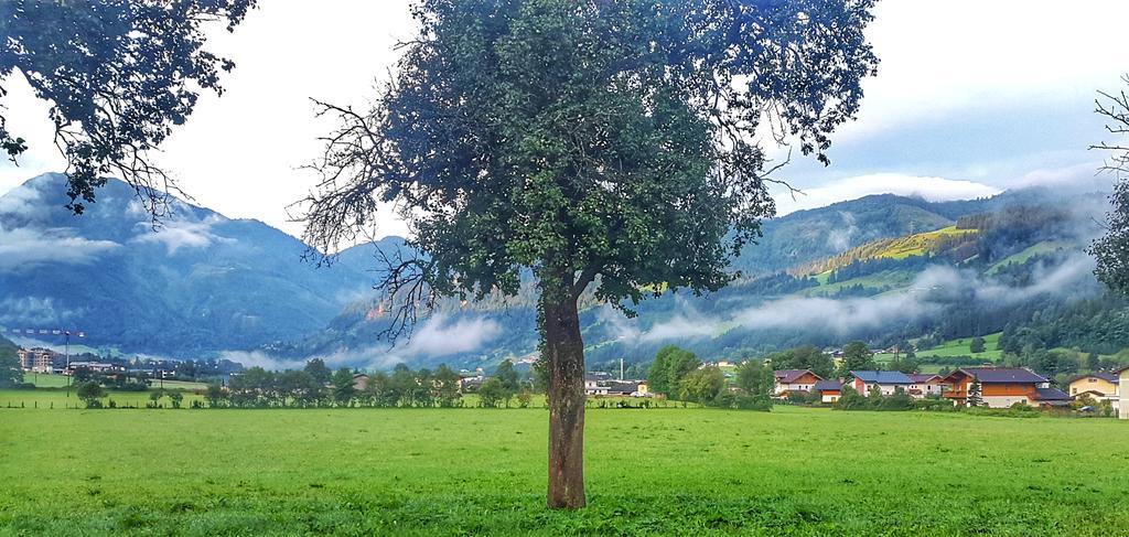 Villa Urlaub am BIO- Bauernhof Rothof St. Johann im Pongau Exterior foto