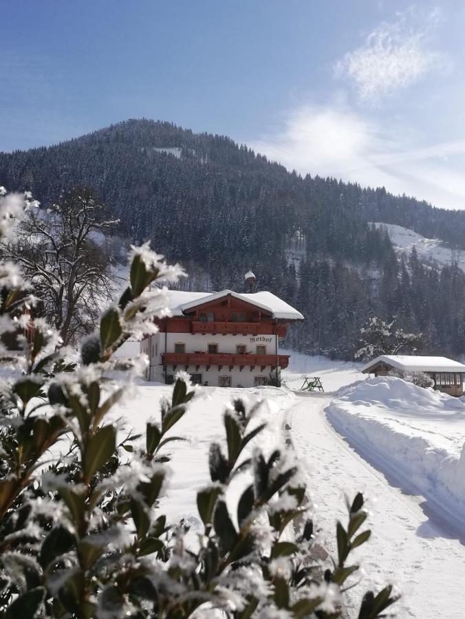 Villa Urlaub am BIO- Bauernhof Rothof St. Johann im Pongau Exterior foto